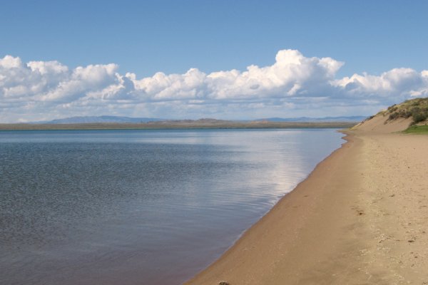 Как найти кракен в торе